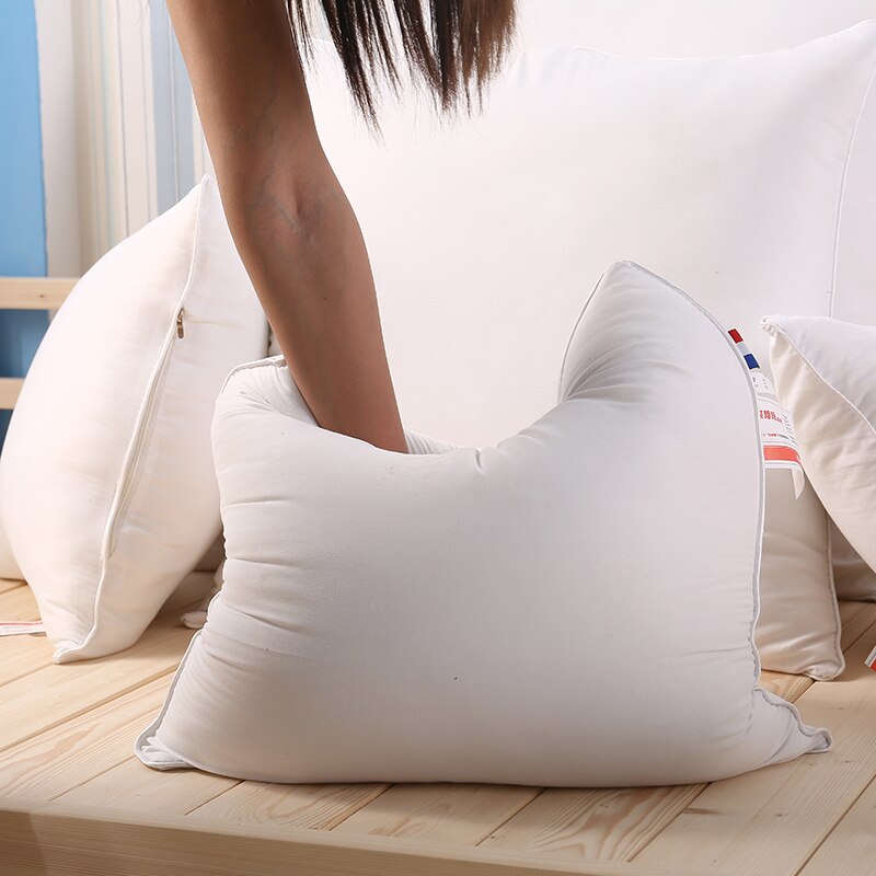 60x60cm Cushion Insert (Set of 2) Bedding Roomie Design 