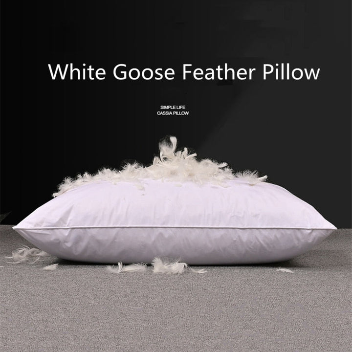 Pair of Goose Down Cushions (60x60 cm)